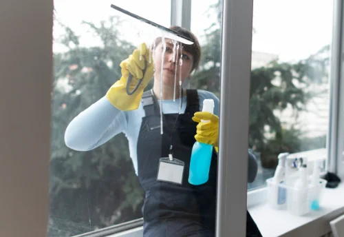 Nettoyage de vitres intérieures et extérieures à Moliens